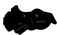 Ship